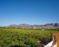 Revente - Finca - Orihuela - Inland