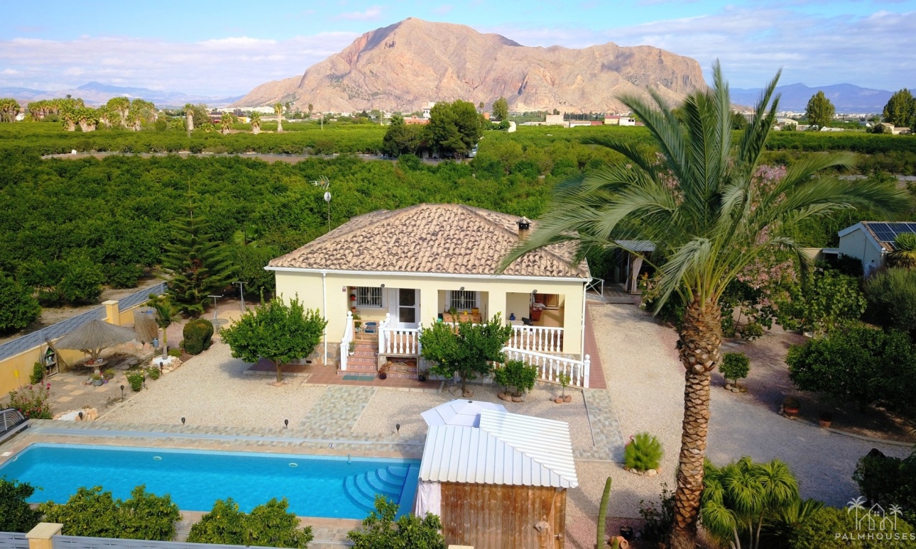 Revente - Finca - Orihuela - La Campaneta