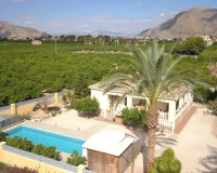 Revente - Finca - Orihuela - La Campaneta