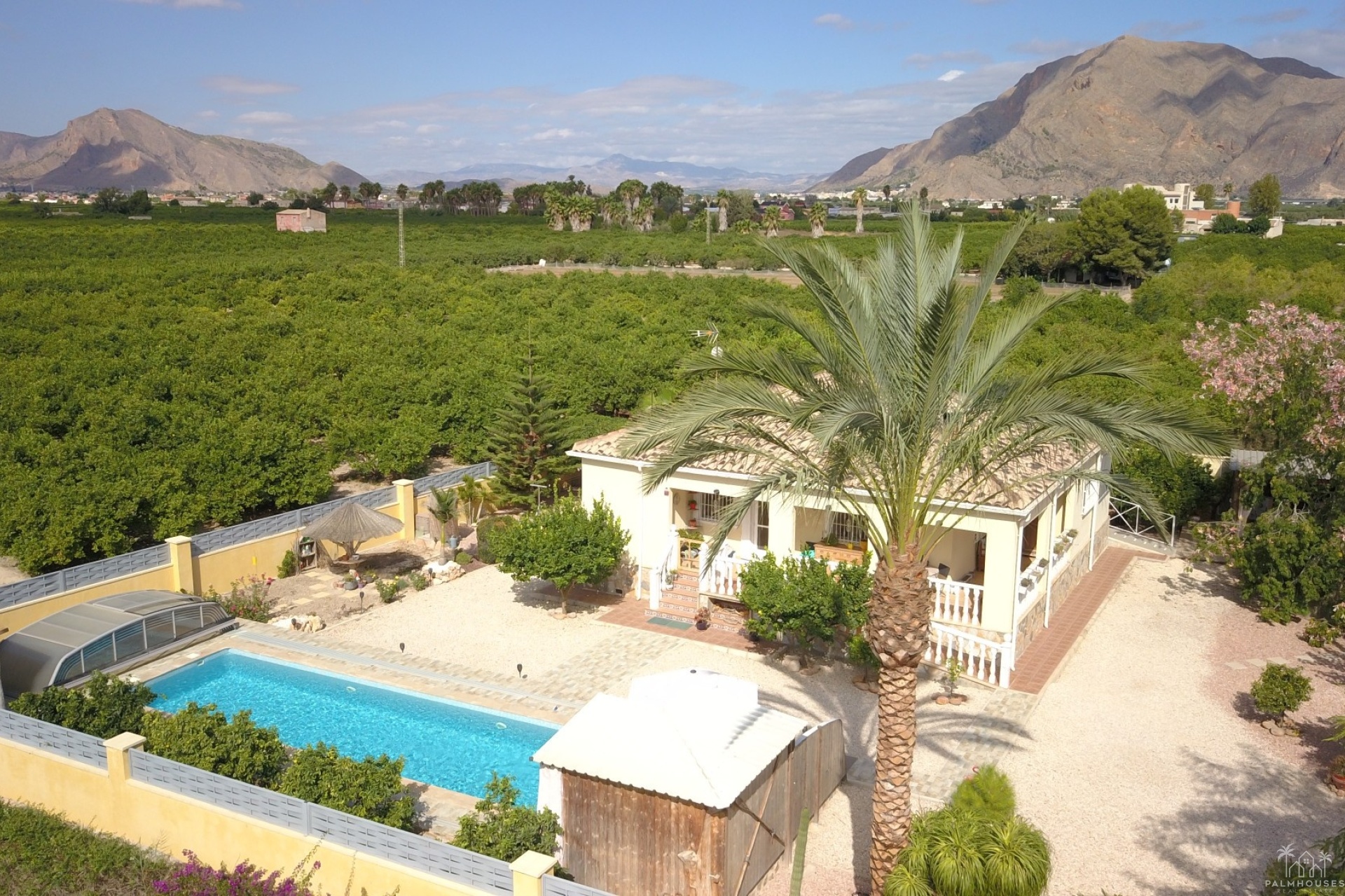 Revente - Finca - Orihuela - La Campaneta