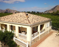 Revente - Finca - Orihuela - La Campaneta