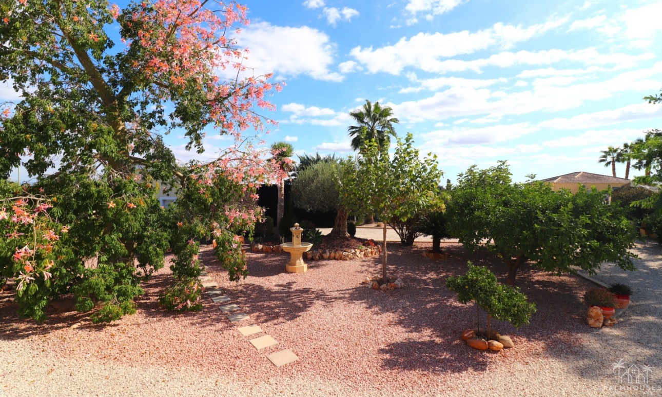 Revente - Finca - Orihuela - La Campaneta