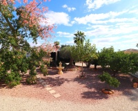 Revente - Finca - Orihuela - La Campaneta