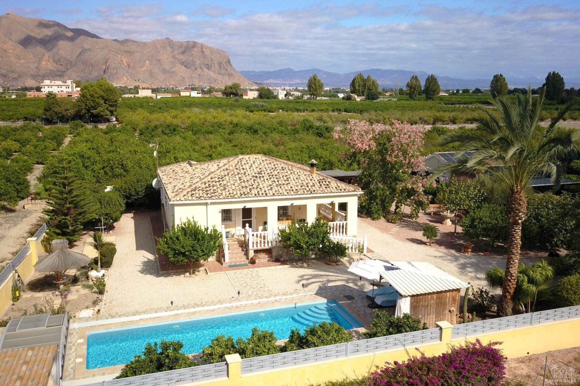 Revente - Finca - Orihuela - La Campaneta