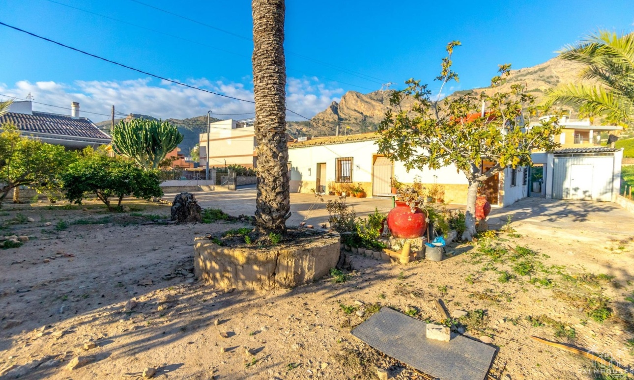 Revente - Finca - Orihuela - Raiguero De Bonanza