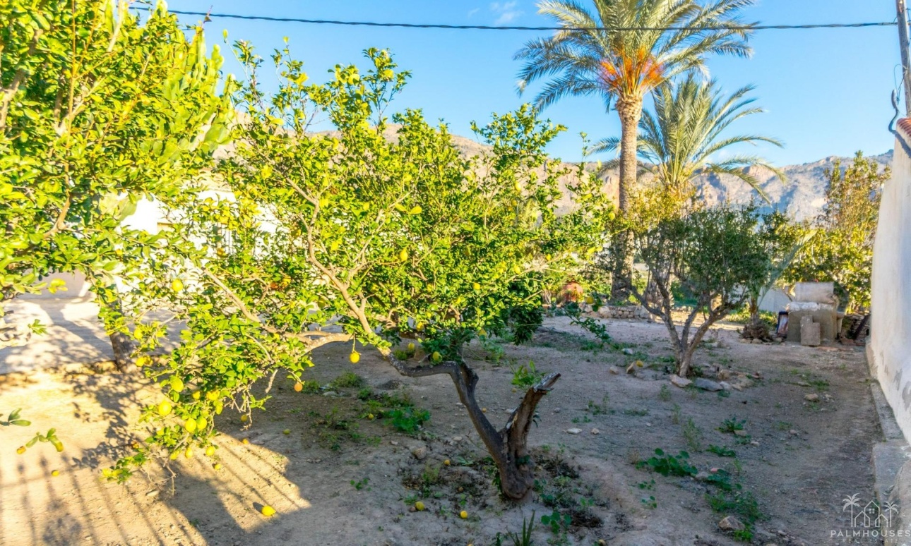 Revente - Finca - Orihuela - Raiguero De Bonanza