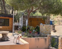 Revente - Finca - Orihuela - Torremendo