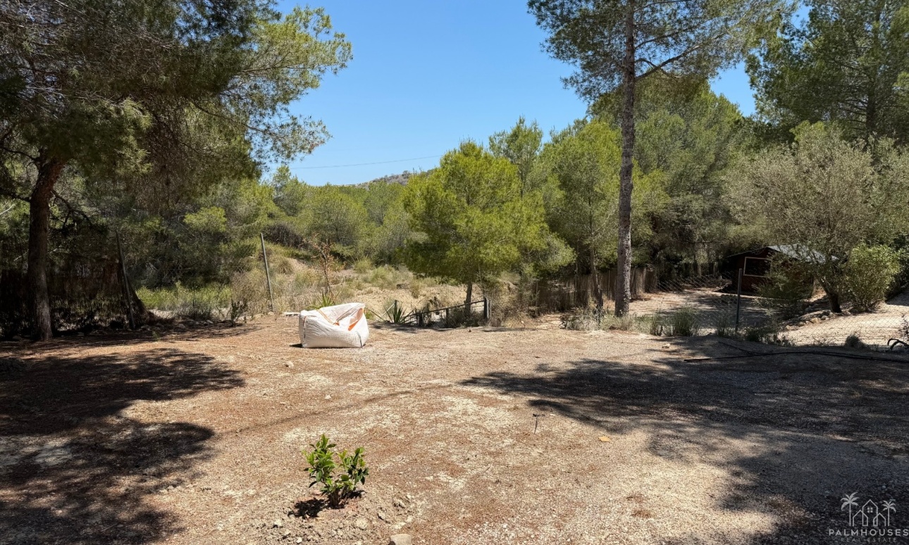 Revente - Finca - Orihuela - Torremendo