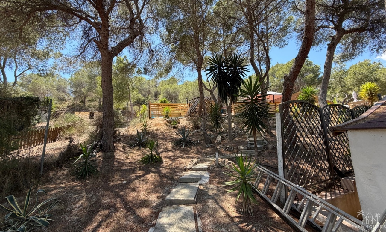 Revente - Finca - Orihuela - Torremendo