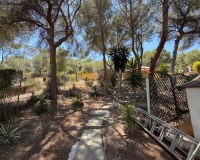 Revente - Finca - Orihuela - Torremendo