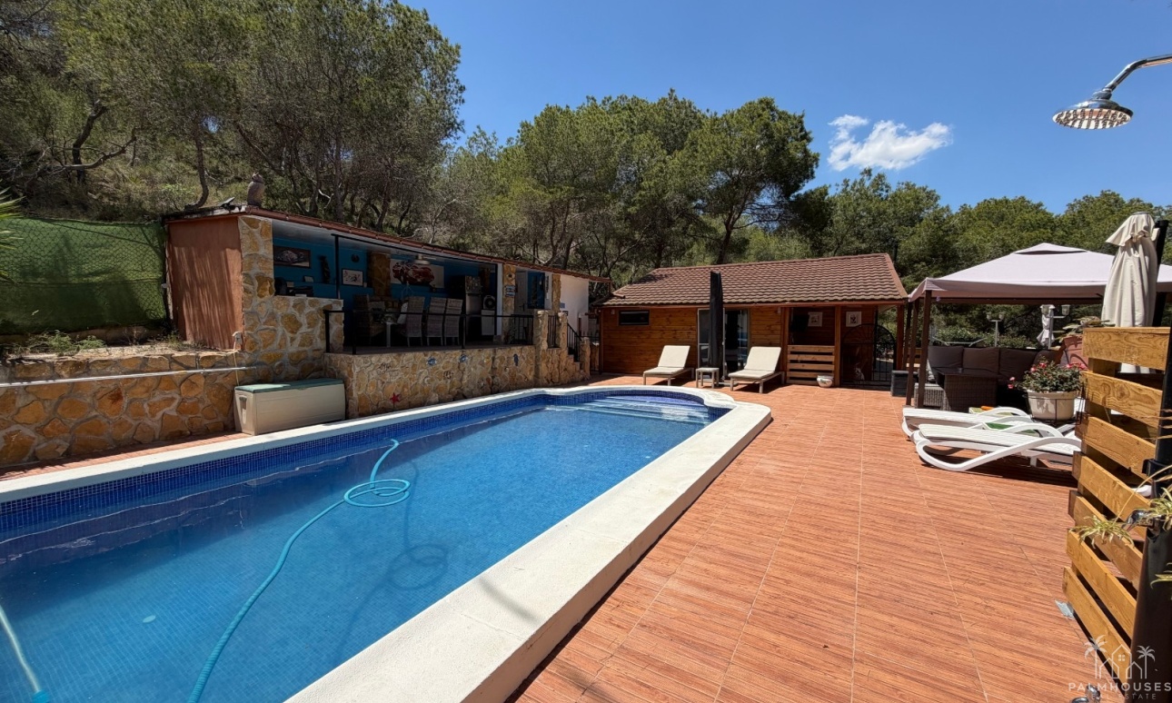Revente - Finca - Orihuela - Torremendo