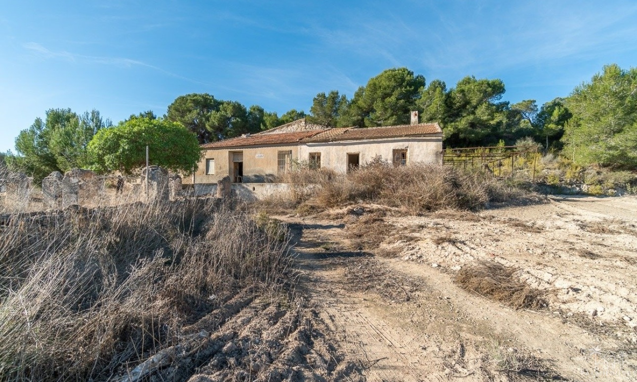 Revente - Finca - Pilar de La Horadada - Pinar de la Perdiz
