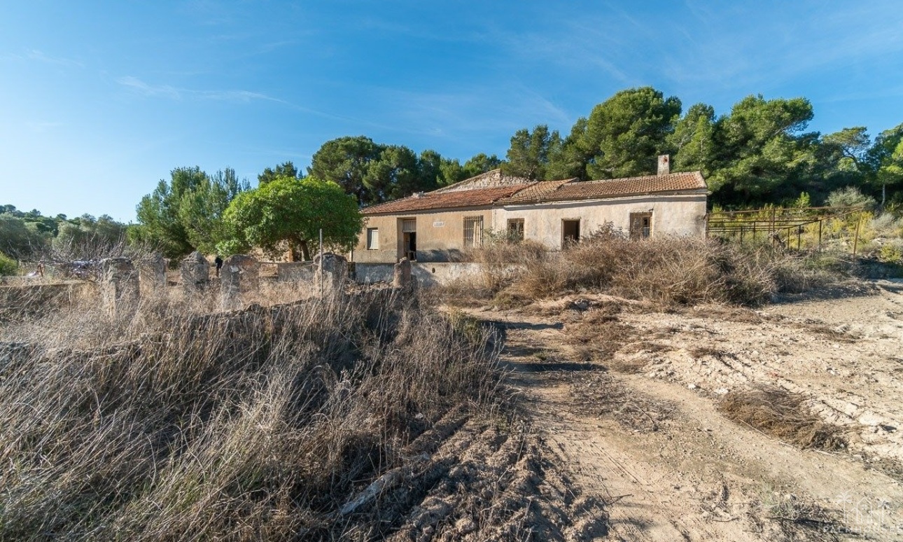 Revente - Finca - Pilar de La Horadada - Pinar de la Perdiz