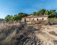 Revente - Finca - Pilar de La Horadada - Pinar de la Perdiz