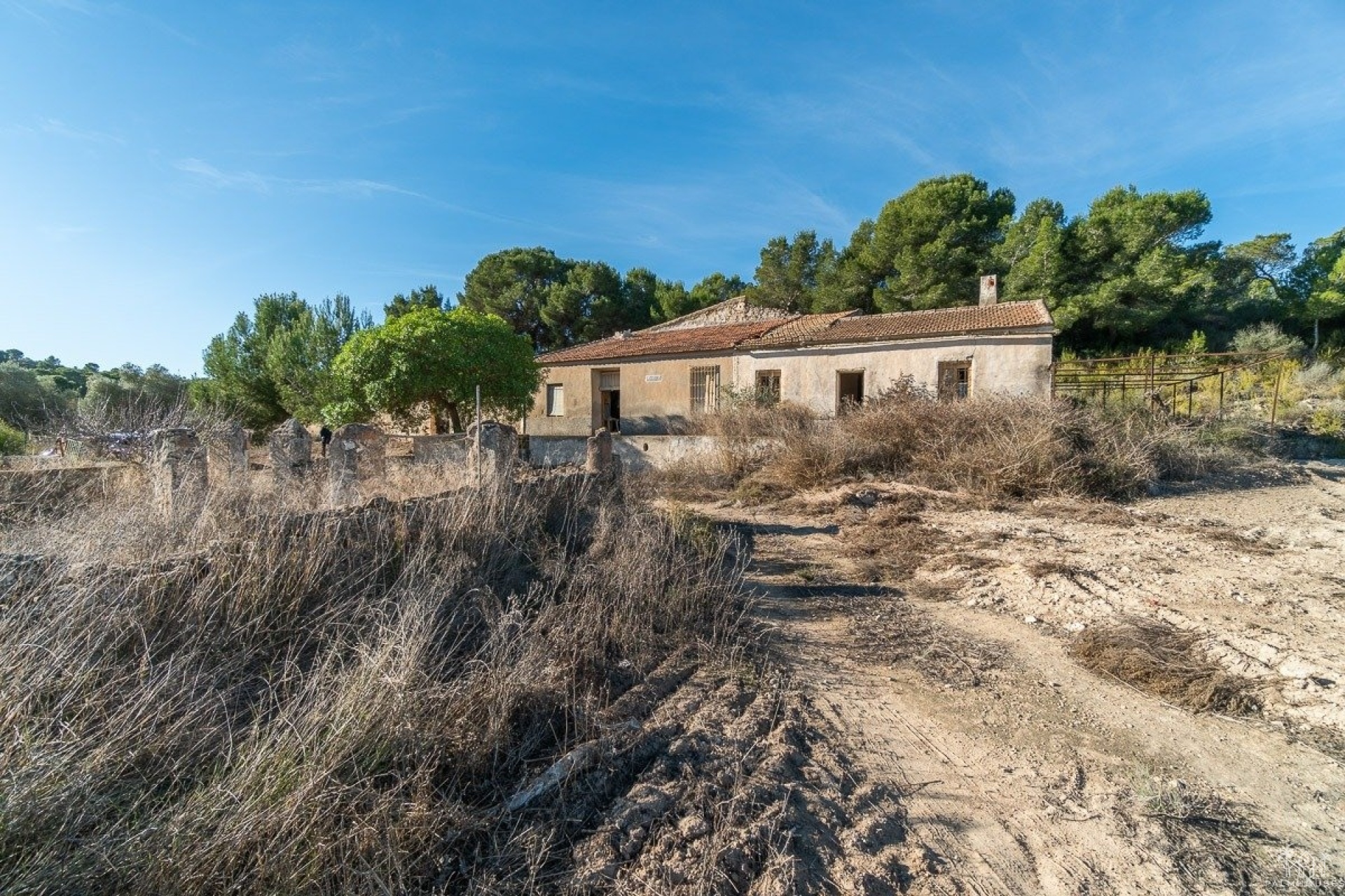Revente - Finca - Pilar de La Horadada - Pinar de la Perdiz