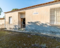 Revente - Finca - Pilar de La Horadada - Pinar de la Perdiz