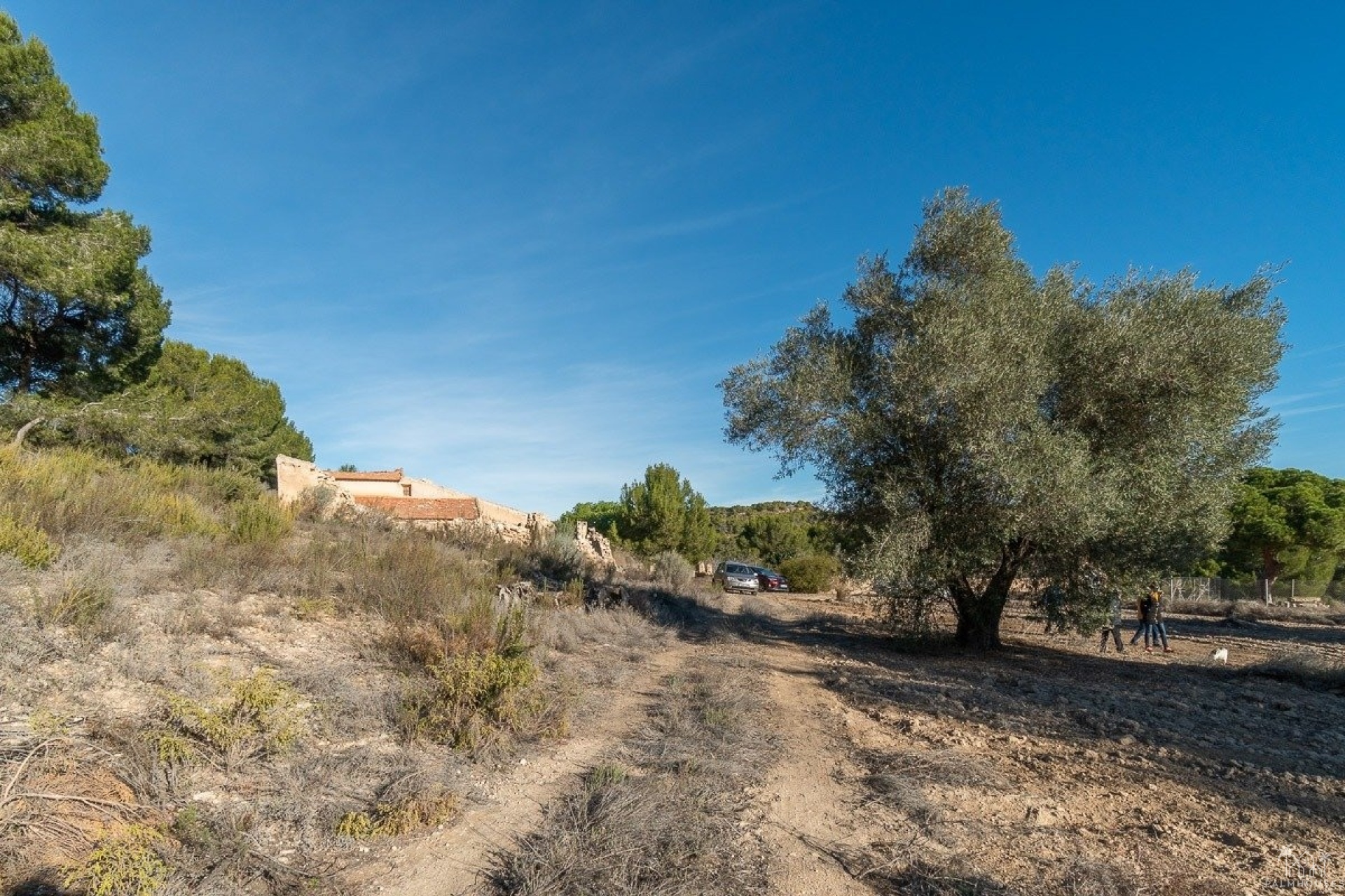 Revente - Finca - Pilar de La Horadada - Pinar de la Perdiz