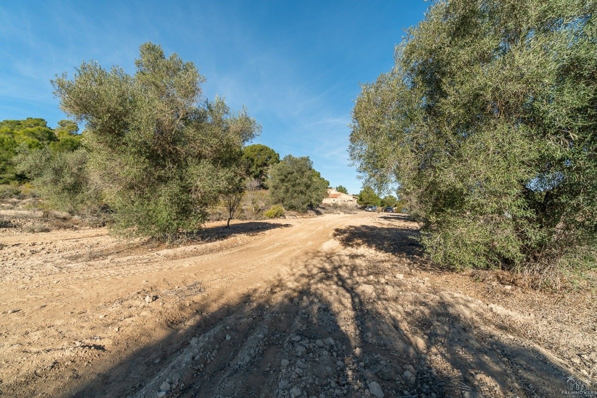 Revente - Finca - Pilar de La Horadada - Pinar de la Perdiz
