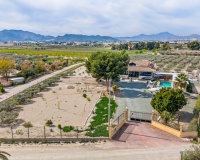 Revente - Finca - Puerto Lumbreras - El Esparragal