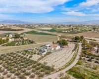 Revente - Finca - Puerto Lumbreras - El Esparragal