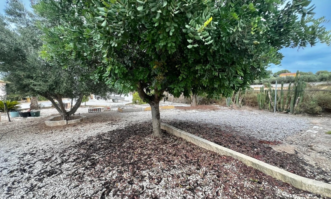 Revente - Finca - San Fulgencio - San Fulgencio - Country