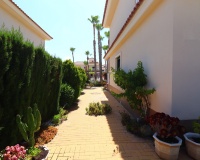 Revente - Maison - Ciudad Quesada - Doña Pepa