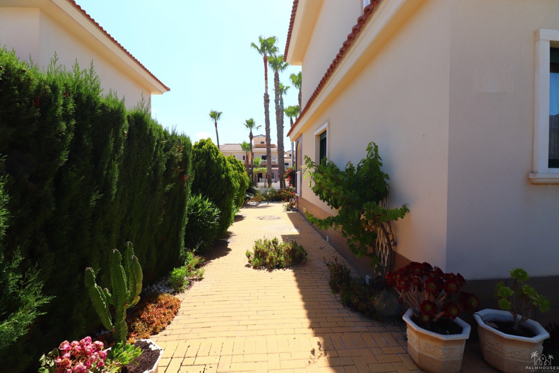 Revente - Maison - Ciudad Quesada - Doña Pepa