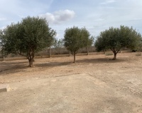 Revente - Maison - Fuente Álamo - Inland