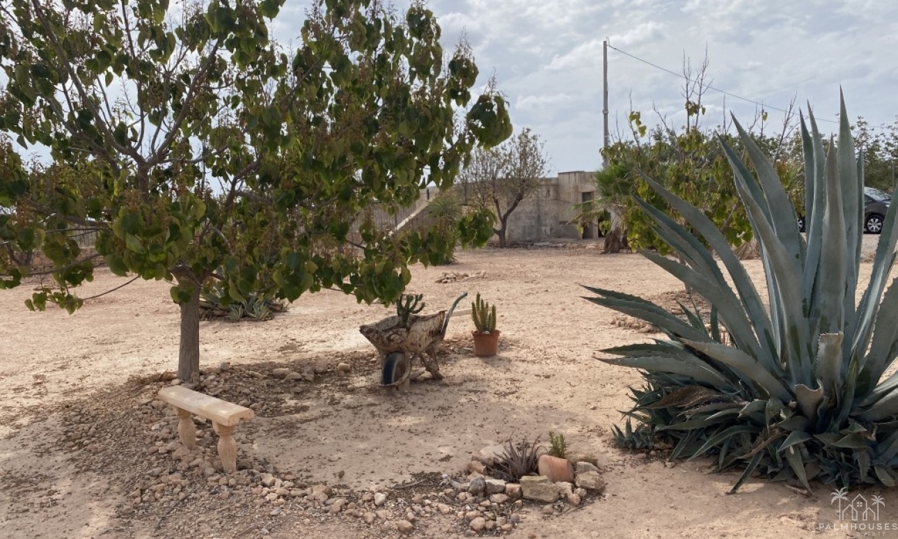 Revente - Maison - Fuente Álamo - Inland