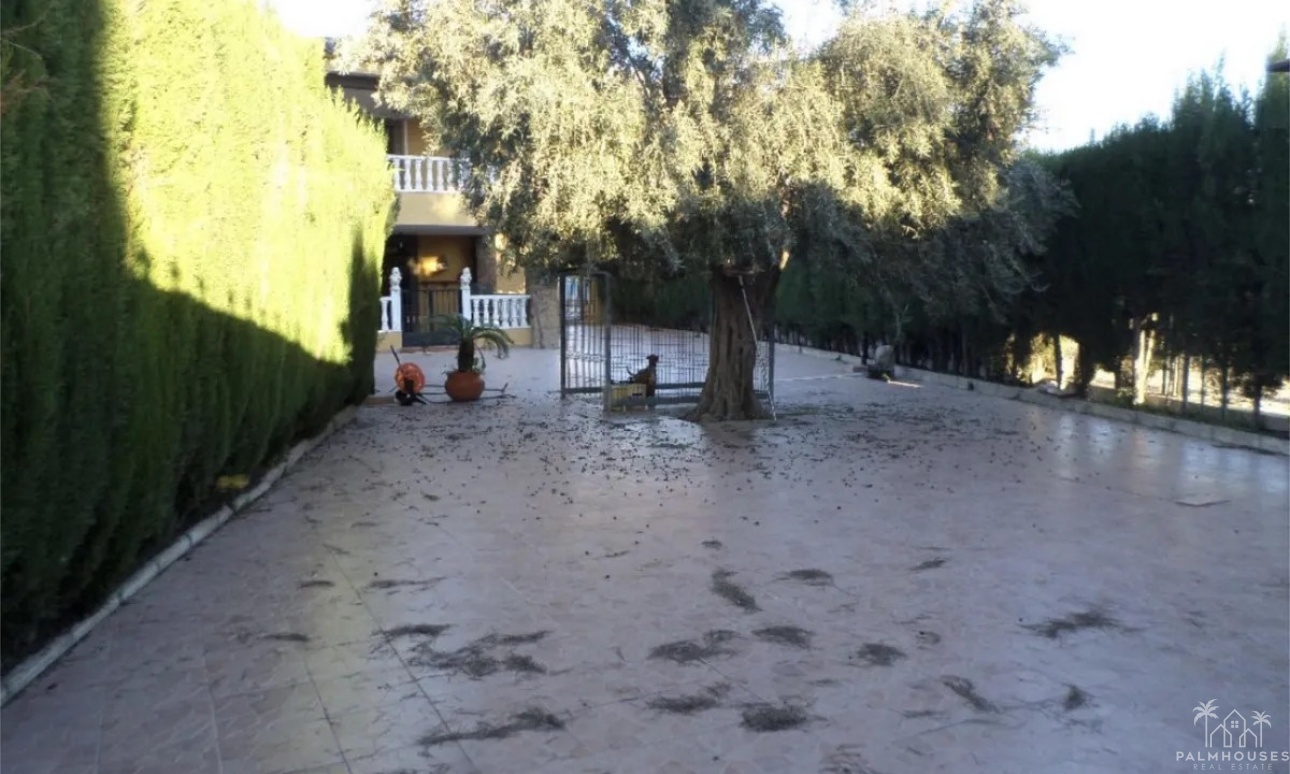 Revente - Maison - Orihuela - Orihuela Centro
