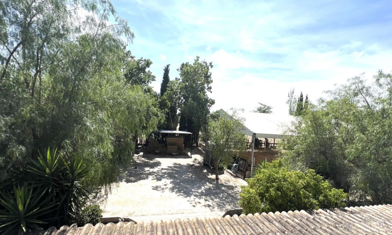 Revente - Maison - Orihuela - Orihuela Centro