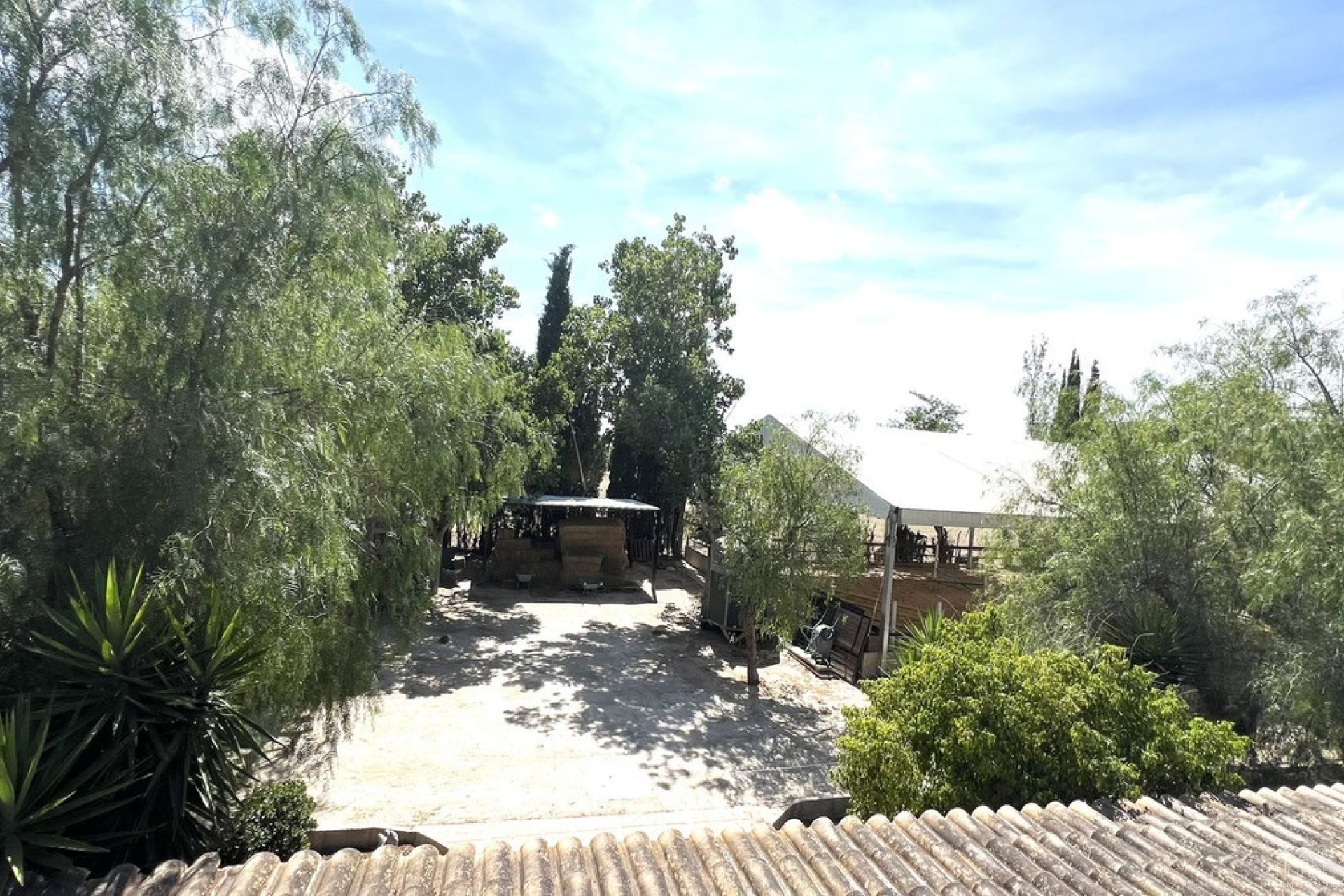 Revente - Maison - Orihuela - Orihuela Centro
