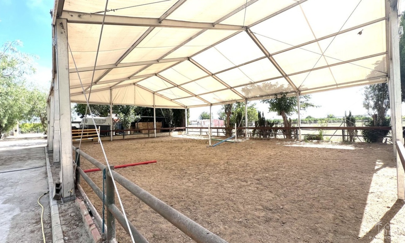 Revente - Maison - Orihuela - Orihuela Centro