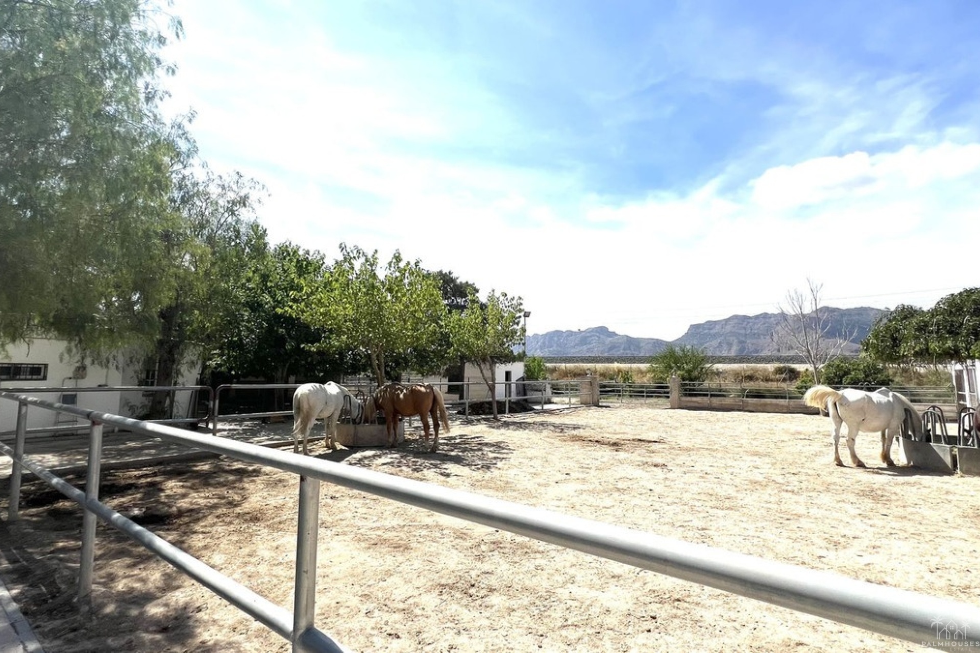 Revente - Maison - Orihuela - Orihuela Centro