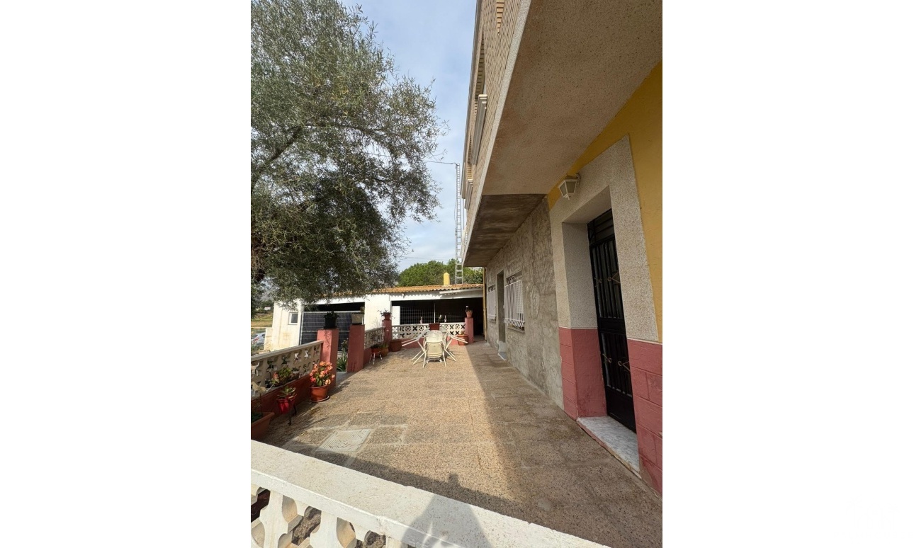 Revente - Maison - Orihuela - Orihuela Ciudad