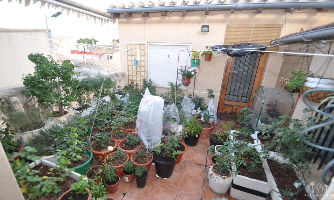 Revente - Maison - Pinoso - Inland
