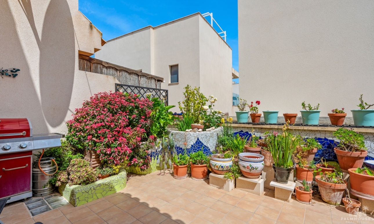 Revente - Maison - San Miguel de Salinas - Inland