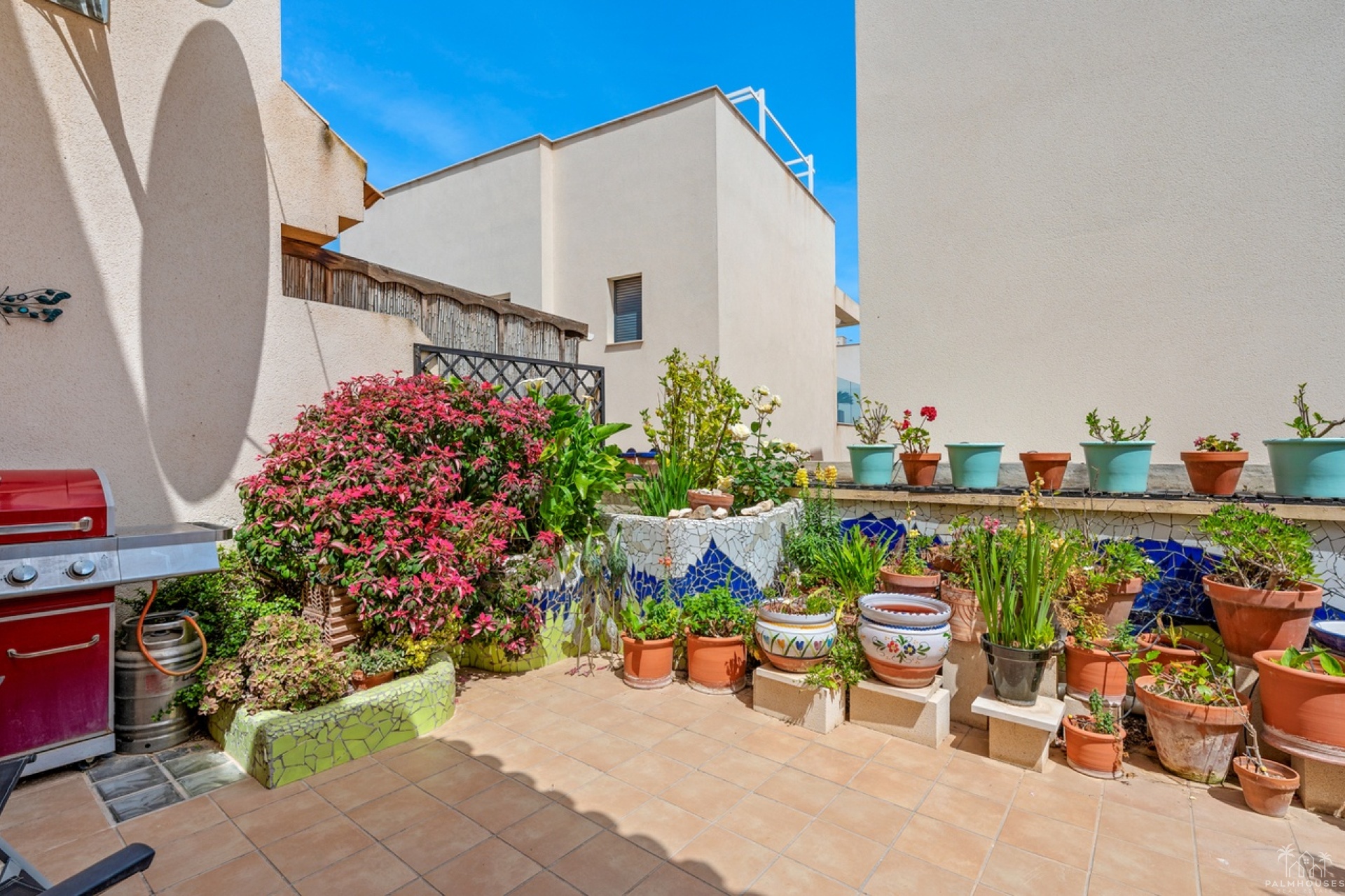 Revente - Maison - San Miguel de Salinas - Inland