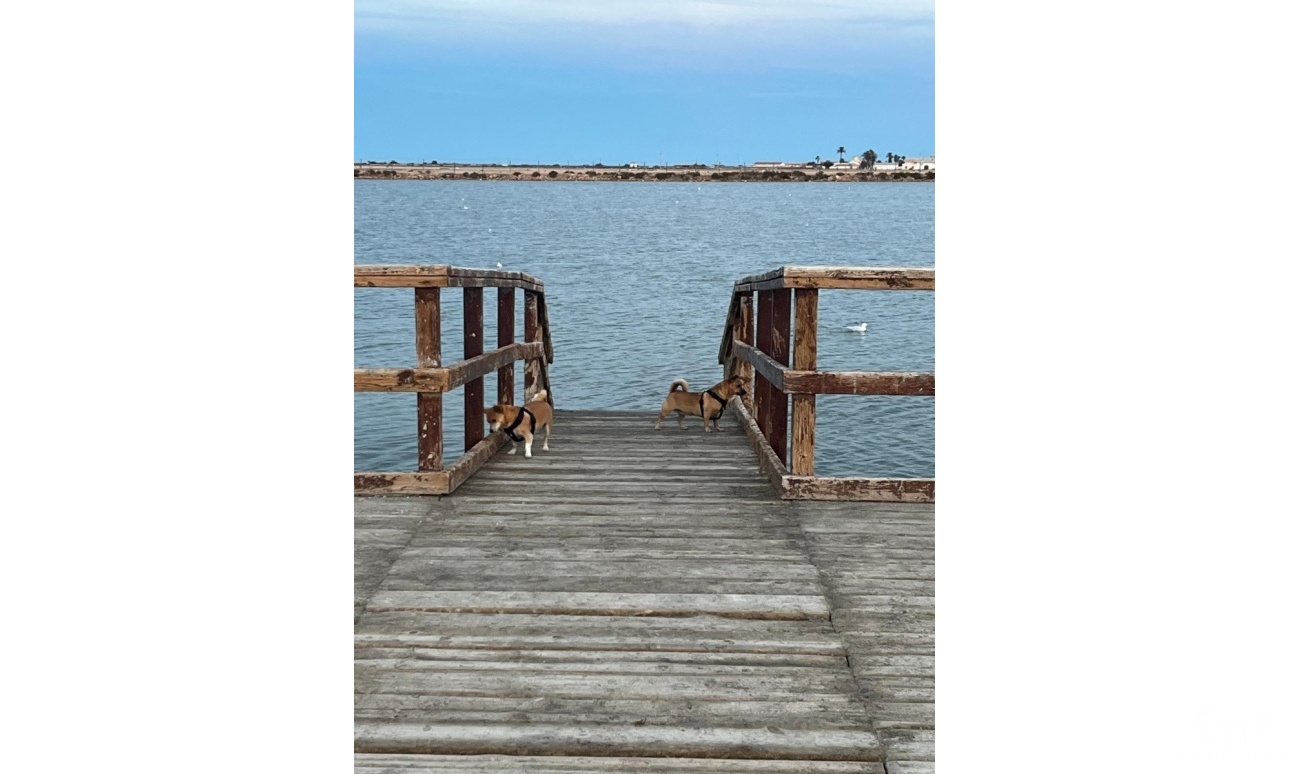 Revente - Maison - San Pedro del Pinatar - Costa Calida