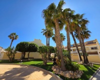 Revente - Maison - Torrevieja - La Mata