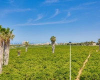 Revente - Maison - Torrevieja - Los Balcones