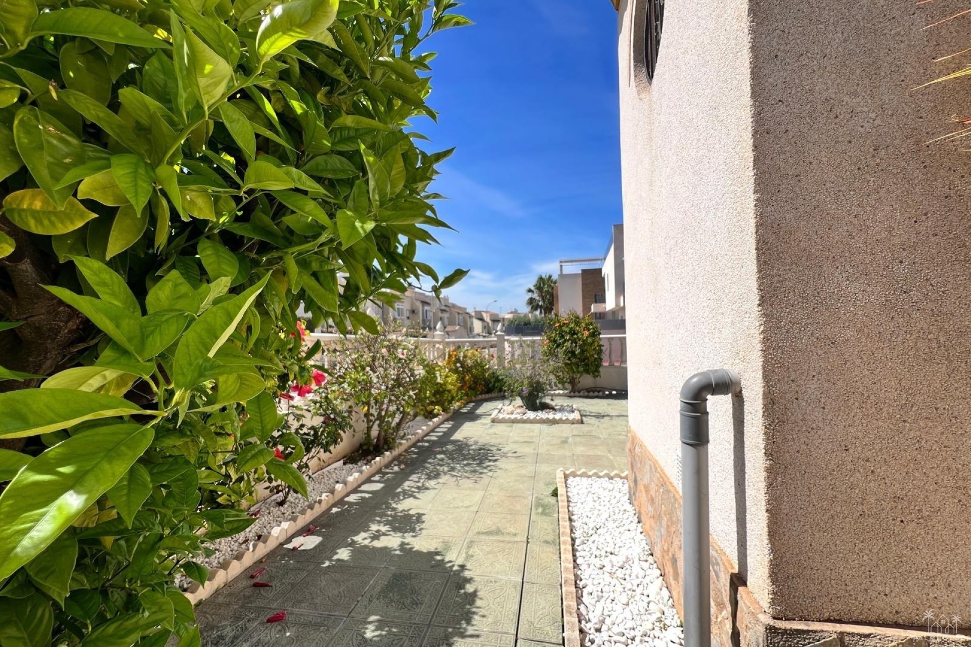 Revente - Maison - Torrevieja - Torre La Mata