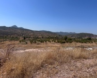 Revente - Plot - Abanilla - Macisvenda