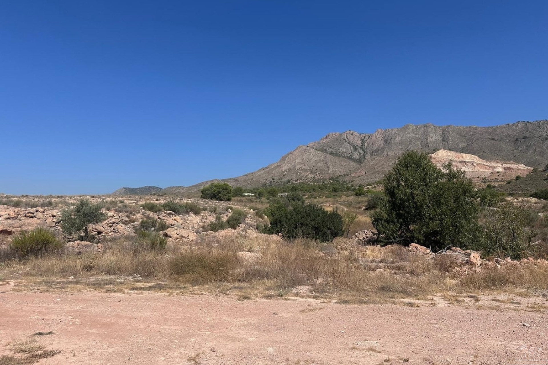 Revente - Plot - Abanilla - Macisvenda