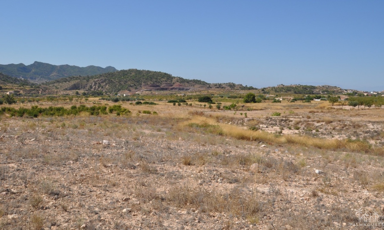 Revente - Plot - Abanilla - Macisvenda