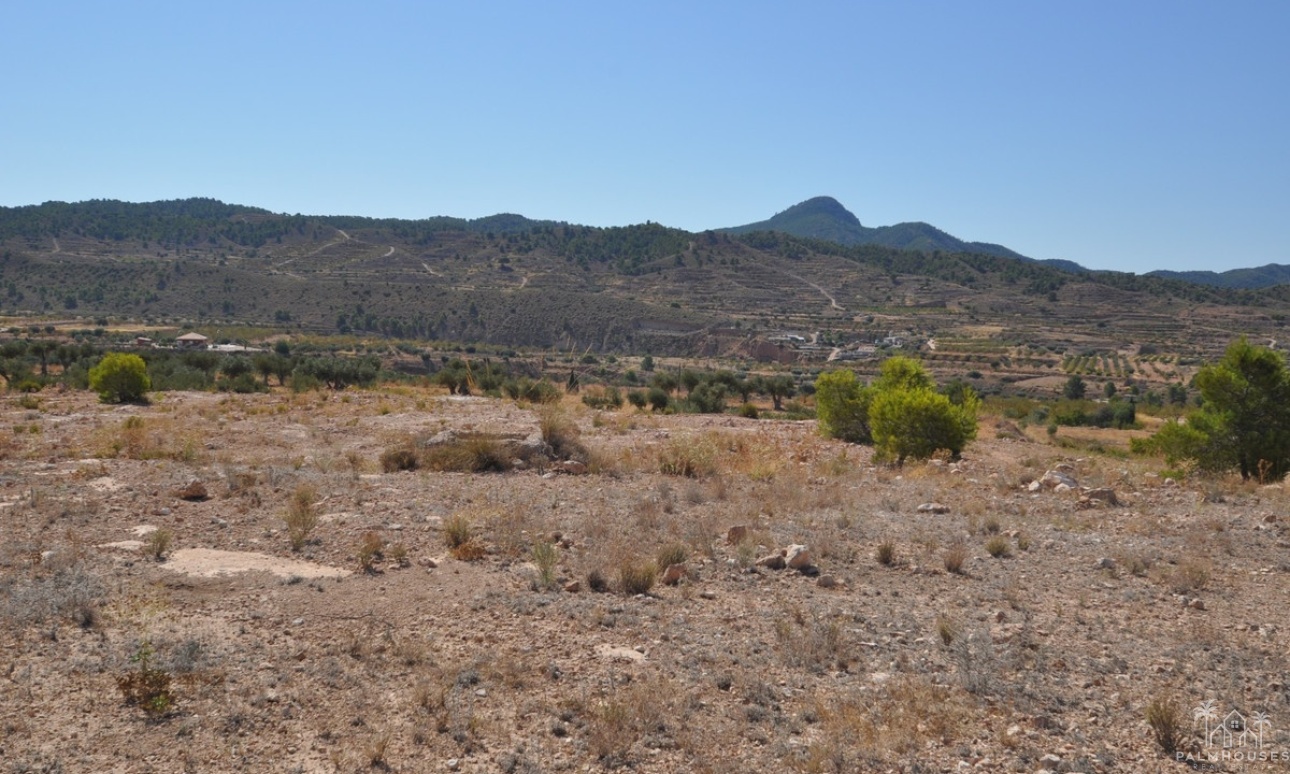Revente - Plot - Abanilla - Macisvenda