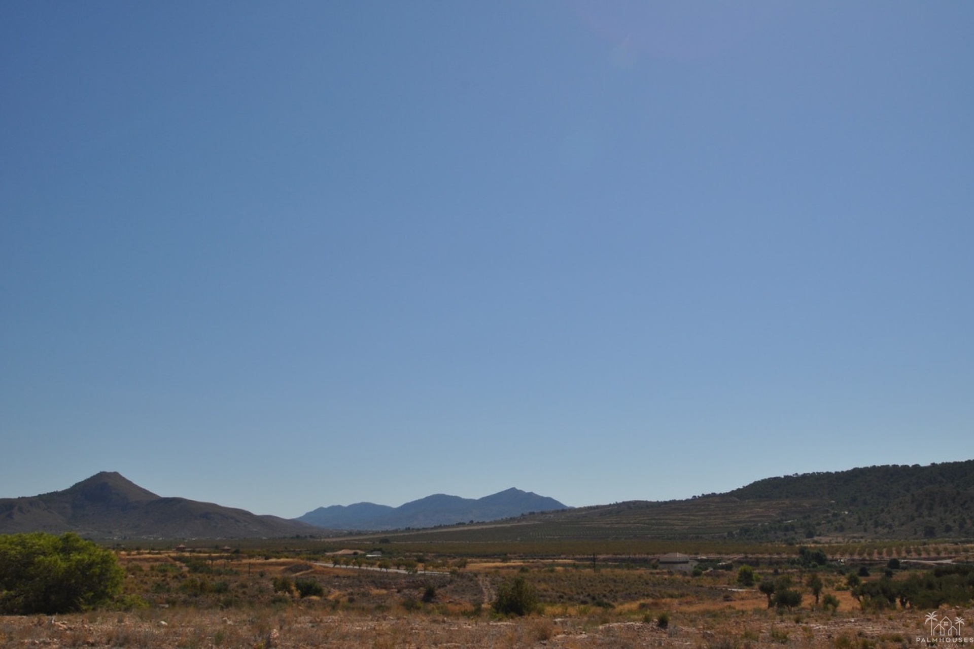 Revente - Plot - Abanilla - Macisvenda