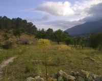 Revente - Plot - Benissa - Benissa Centro