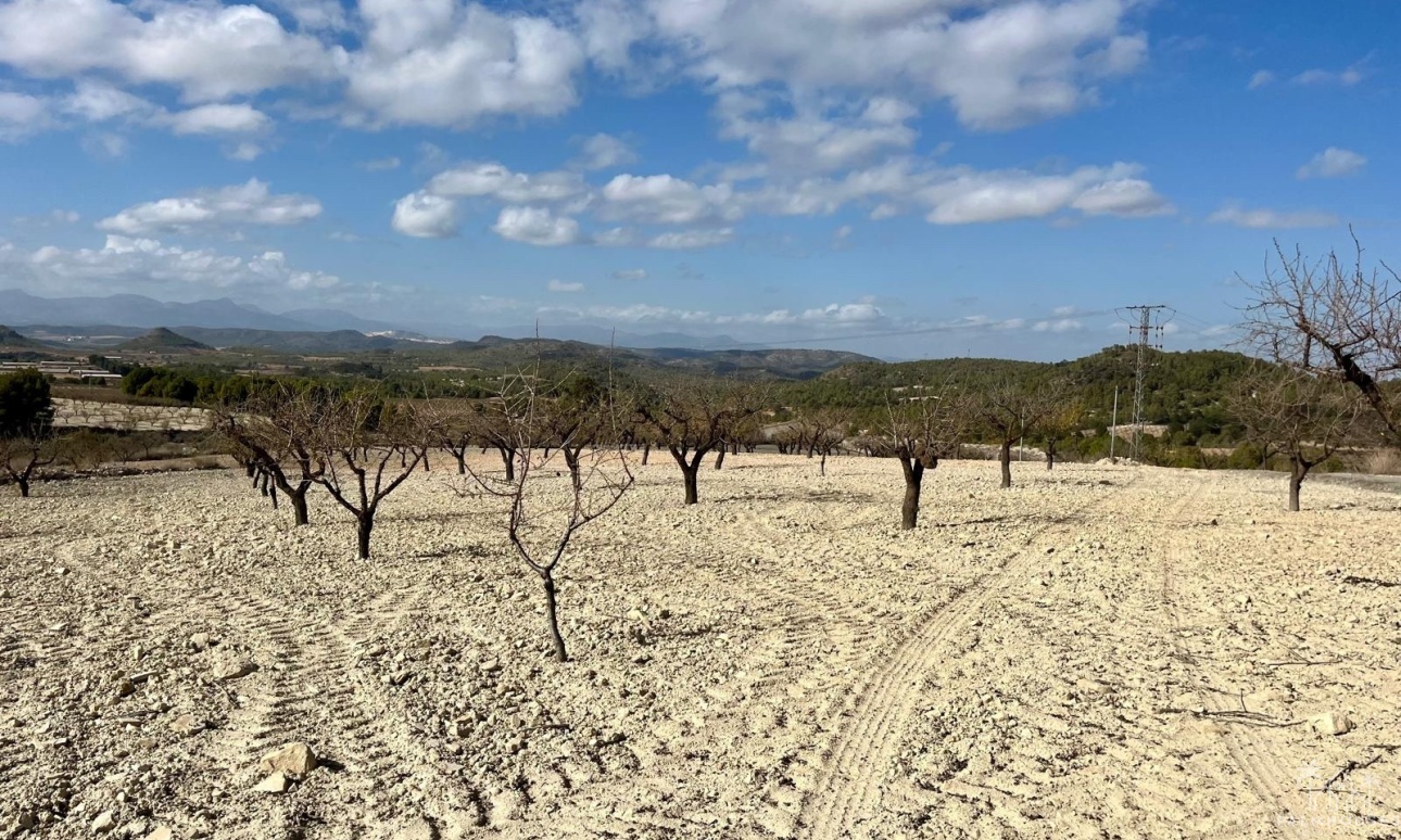 Revente - Plot - Bullas - Costa Calida