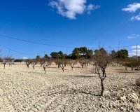 Revente - Plot - Bullas - Costa Calida